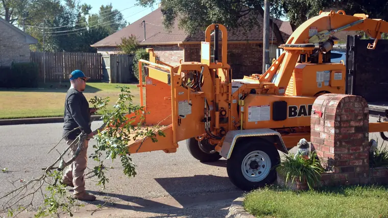 Cut brush being fed into a wood chipper at the kerbside.